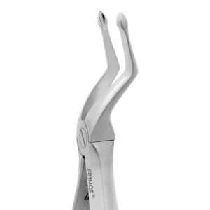 Upper Bicuspids and Premolars