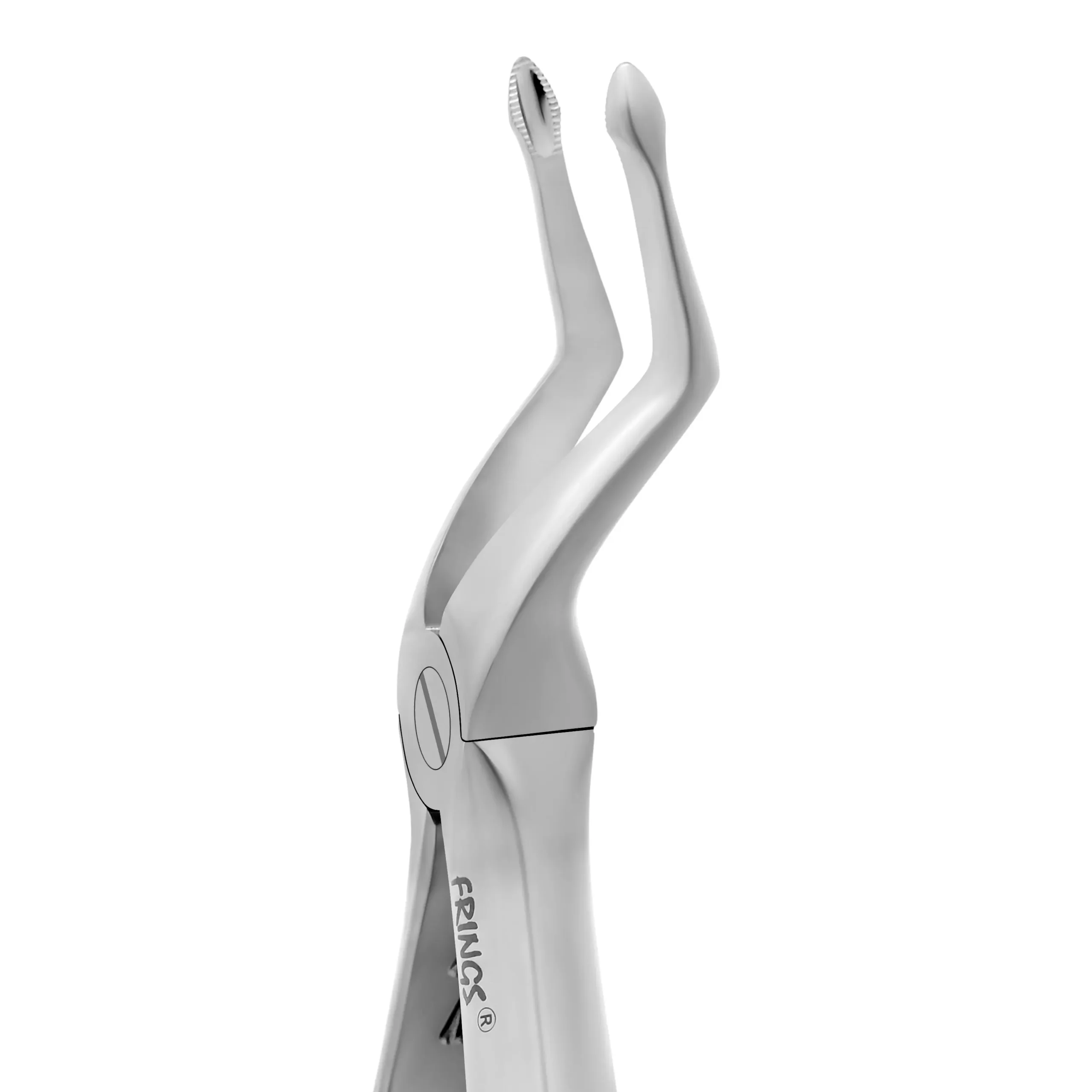 Upper Bicuspids and Premolars